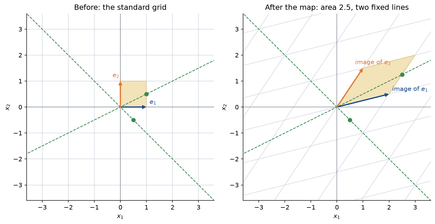 The standard grid and its image under the 2 by 2 matrix M with rows (2, 1) and (0.5, 1.5): the unit square becomes an amber parallelogram of area 2.5, the basis vectors become the two columns, and two dashed green lines through the origin are mapped onto themselves