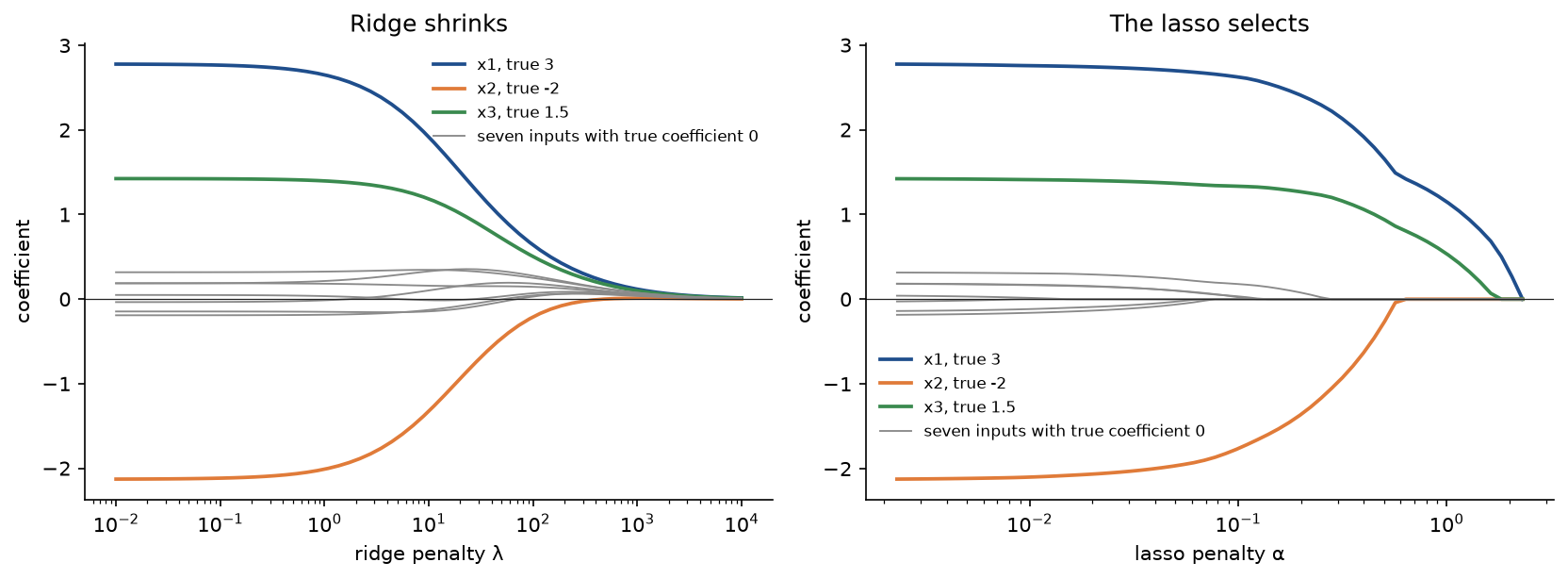 Coefficient paths for ten correlated inputs: on the left ridge shrinks all ten smoothly towards zero as lambda grows; on the right the lasso coefficients reach zero one after another as alpha grows, the seven grey useless inputs first and the three coloured useful ones last