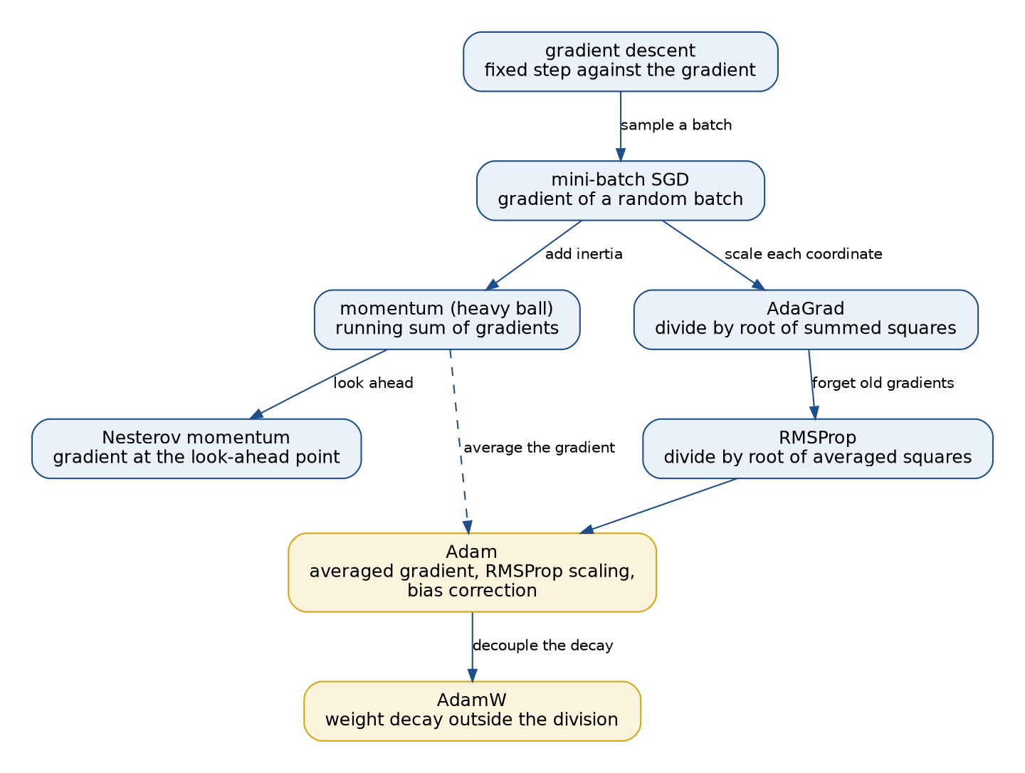 The family of optimizers: gradient descent leads to mini-batch SGD, which branches into momentum, followed by Nesterov momentum, and into AdaGrad, followed by RMSProp; RMSProp and momentum together lead to Adam, and Adam leads to AdamW